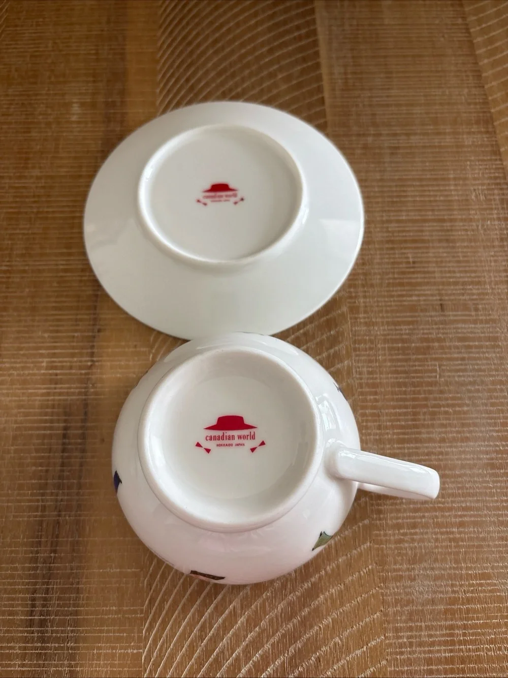 Anne Of Green Gables Canadian World Tea Cup And Saucer Japan